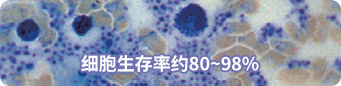 High viability data