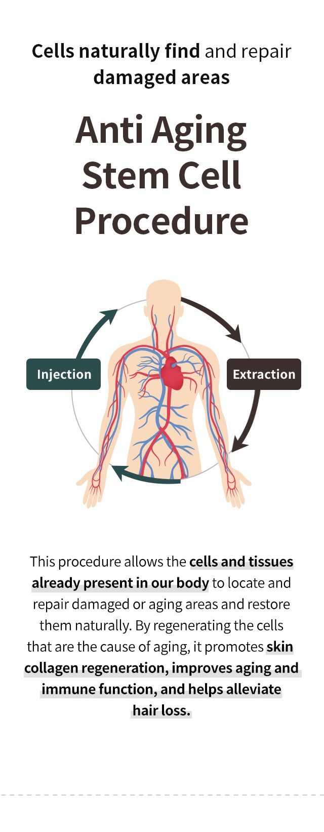 NK cell circulation