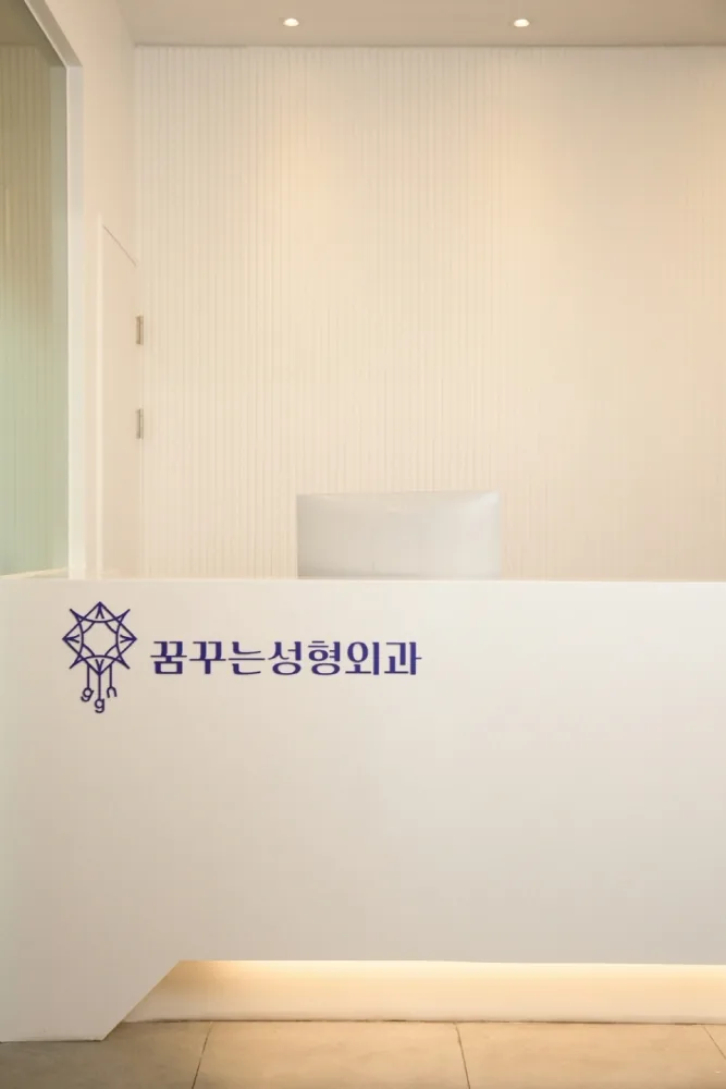 Dreaming Plastic Surgery