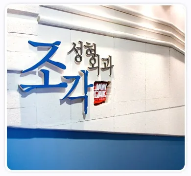 Jogak Plastic Surgery 3