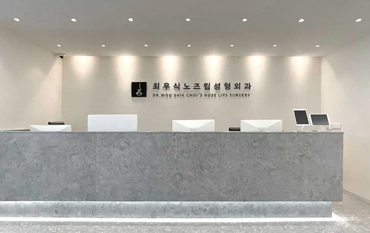 韩国崔宇植Noselips整形外科