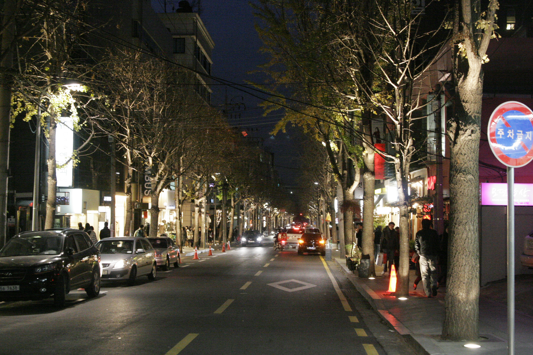 首尔新沙洞林荫道街景