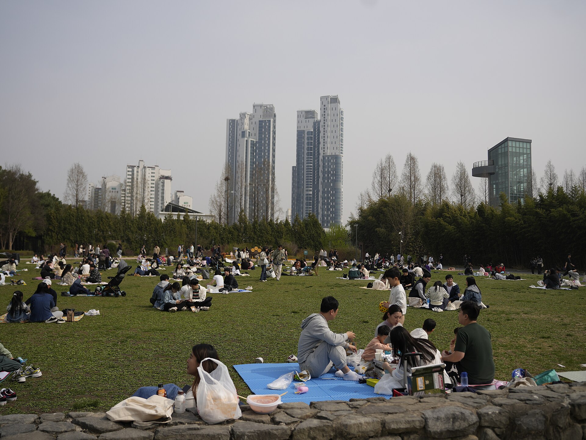 首尔林公园草地实景